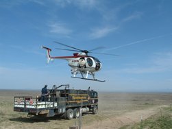 Application helicopter working a field